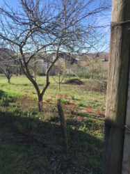 ������ ������� �.����������,�� ϳ���.���,���� �����,�����,�������� ���� 10