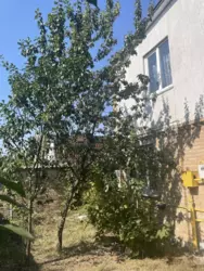   , ,   1