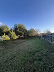 �������� ������ �����-����� ��� ���� | ������ | ��������, �� 5 �� �� ���� ���� 20