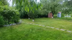     ! , , !  12