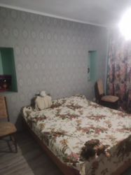 .Продам будинок в Зазим'я сади.Альтанка,підвал,сад фото 6 .Продам будинок в Зазим'я сади.Альтанка,підвал,сад фото 6