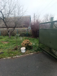 Продам будинок с.Андріївка. Баня,60 соток,ванна,газ фото 4 Продам будинок с.Андріївка. Баня,60 соток,ванна,газ фото 4