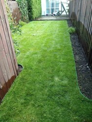 ������ ���������, (�������, ��������) � ����� � ��������! 110�.��, ����� ����������! ���� 19