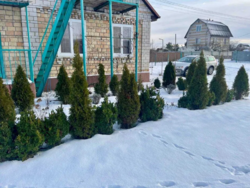 ������ ������� �. ���� �������.���,����,������� ���������, ������� ���� 3