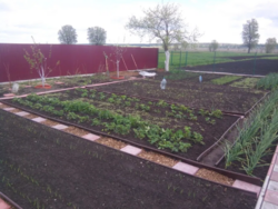 ������ ������� �.�������. 17 �����,����,���,������� �����,�����,����� ���� 6