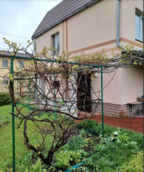 Продам будинок с.Проців, СТ Перемога.Гараж,альтанка,сад фото 19 Продам будинок с.Проців, СТ Перемога.Гараж,альтанка,сад фото 19