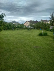   .,ë .,,  4