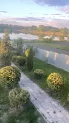       ,   11