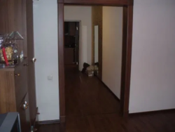    ., 8.        5