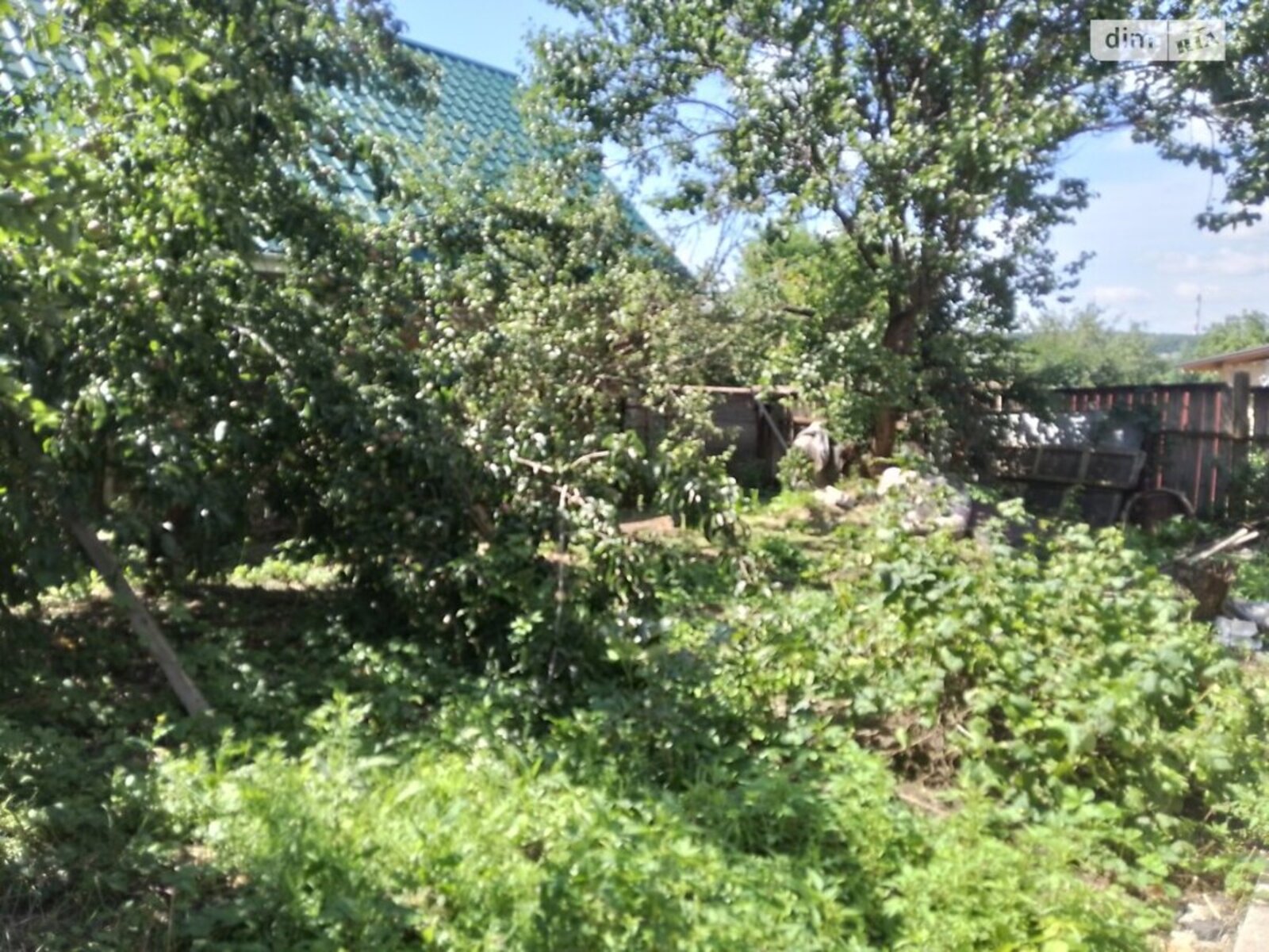 ��������� ������� ������������ �-�, �����, ���������, ��������������, �������� ���� ���� 1