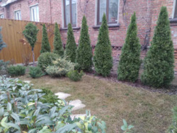 � ������� �������� � �������������� ������� ������������� ����� ������ ����������� ���� 5