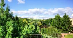 ��������� ������� �����, ��������� ���� 1