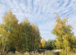 ��������� ������� ���������, �����, ��������������, �������, ������� ������, �. ������� ���� ���� 7