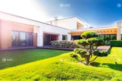 ������� ���� 11