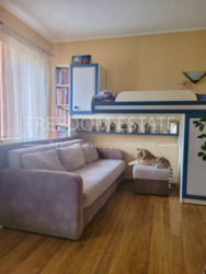 ��������� ������� ���������, �����, ��������������, ��������, �. ������� ���� ���� 15