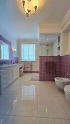 ��������� ������� �����, ���������, �������������, ���������, �. ������� ���� 11