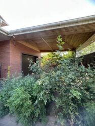 ������ ������� 317 ��.�., 10 �����, ���� �������� ���� 3