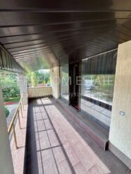 ���������/ ��� 297 �2/ ������� ����/ ����� ���� 16