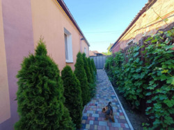 ��������� ������� ���������, �����, ���������� (�����������), �. �������� ���������� ���� 3