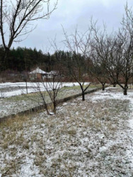 Продається будинок Харківська, Зміївський, Зидьки фото 18 Продається будинок Харківська, Зміївський, Зидьки фото 18