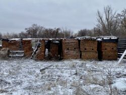 ������ ��� � ������ ���� 11