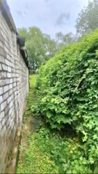 ��������� �������� ������� ����� ������ ���� 10