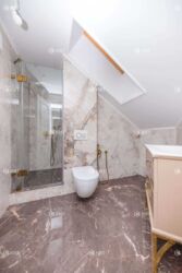 ��������� ������� ���������, �����, �������� ���� 17