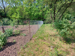 ��������� ������� ���������, ����������, �������, ������ ���. ���� 20