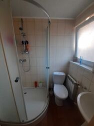 �.�������� ���� 12 ����� ������,������ 1/2 ����� ����,. ���� 7