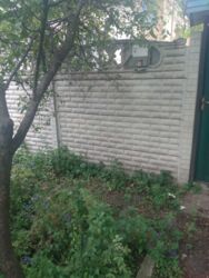 ������ ������� �� ��� ���� 15