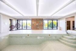 ������� ���� 13