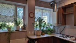 ������ ������� � �.˳��� �������������� ������ ���� 8