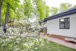 � ������� ������ 1-������� ��� � ������� '������' ���� 3