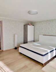 ��������� ������� ���������, �������������, ������� ���� 15