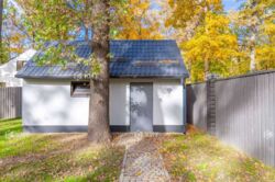 Лісопарк (Лесопарк), КМ Форест фото 12 Лісопарк (Лесопарк), КМ Форест фото 12