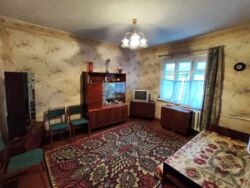 ������ 1/2 ���� 48��.� ���.����������,29 ����� ���� ���� 3