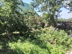 ��������� ������� ������������ �-�, �����, ���������, ��������������, �������� ���� ���� 1