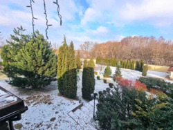 ������ ������� �� ������ 37 �����, ������� ����� 1 ��, ������� ���� 7