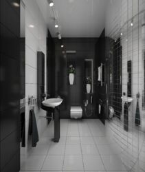 ��������� ������� �����, ���������, ������������� ���� 3