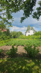 ������ ���������� ������� 15 �� ������� ���� ��� ������� ���� 4