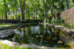 �-� ˳������, �� ������ ���� 13