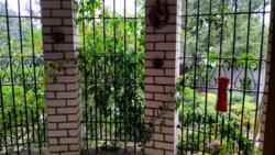 ������ ������� 189 �� � � ������ ���� ����. ���� 5