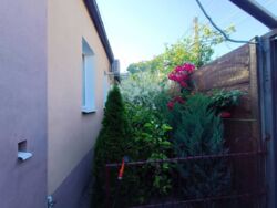 ��������� ������� ���������, �����, ���������� (�����������), �. �������� ���������� ���� 2