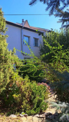 ������ ������� � �.˳��� �������������� ������ ���� 1