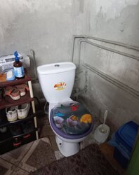 ��������� ������� �������� ��., 18, �����, ���������, ��������������, �������, �. ������� ���� ���� 10