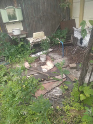 ������ ������� �� ��� ���� 13