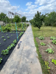 У продажу домоволодіння у Люботині фото 6 У продажу домоволодіння у Люботині фото 6