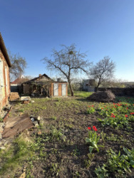 ������� ������ ���� � �������� ����� �������� ��.�������� 50 ���� 4