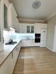 ��������� ������� ����������� ��., �����, ���������, ��������������, �������� ����, �. ������� ���� ���� 4