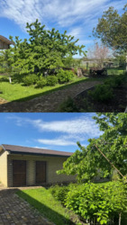 Продається будинок Харківська, Харків, Індустріальний, Роганский ж/м, м. Індустріальна фото 5 Продається будинок Харківська, Харків, Індустріальний, Роганский ж/м, м. Індустріальна фото 5